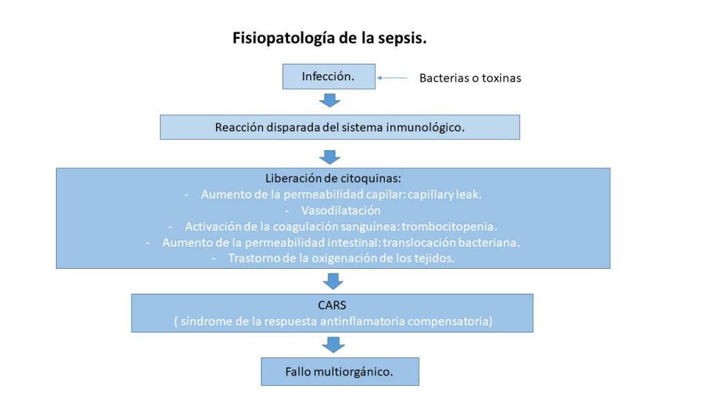 Fisiopatología de la sepsis